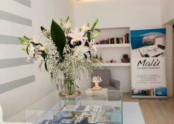 فندق مبيت وإفطار Malu 4*