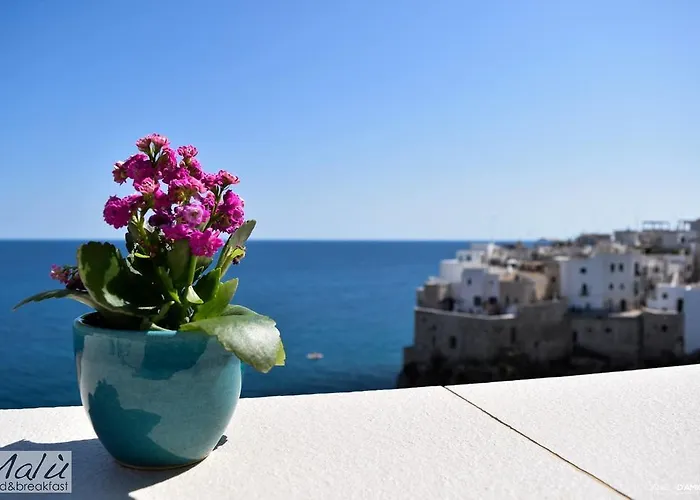 住宿加早餐酒店 马陆住宿加早餐酒店 滨海波利尼亚诺