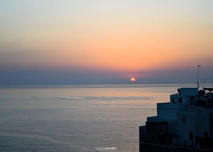 马陆住宿加早餐酒店 住宿加早餐酒店