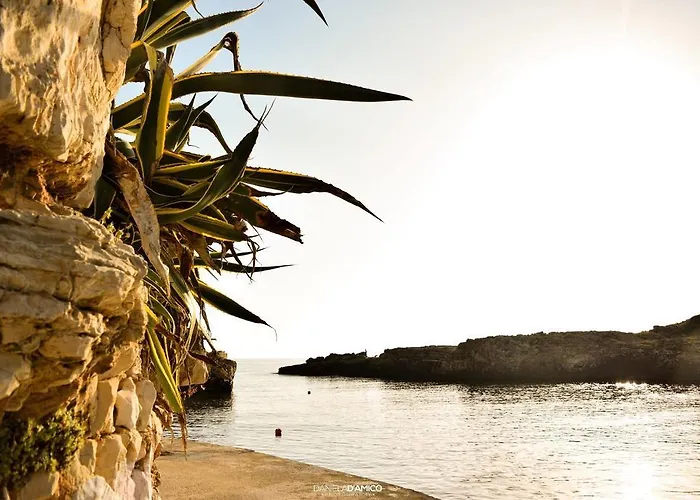 马陆住宿加早餐酒店